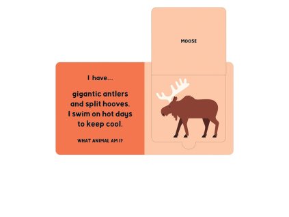 Mudpuppy Kniha Lesné cesty