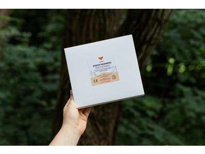 BeWooden Pieskoví kamaráti – Dino