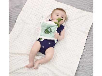 Rainbow Harry Potter Plyšový muchláček Slizolín