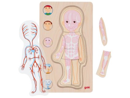Goki Drevené puzzle Ľudské telo - chlapec