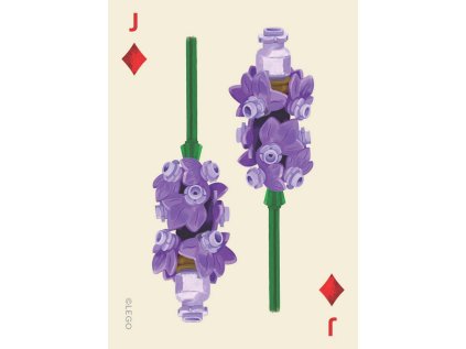 Chronicle Books LEGO® Sada botanických hracích kariet