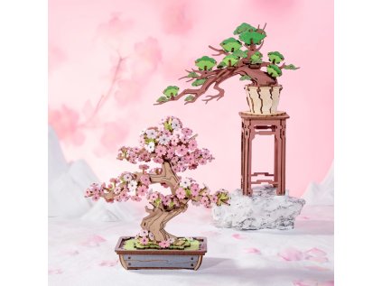 RoboTime 3D drevená skladačka Bonsaj borovica