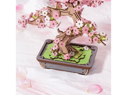 RoboTime 3D drevená skladačka Bonsaj sakura