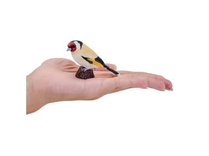 Mojo Stehlík obyčajný