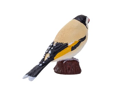 Mojo Stehlík obyčajný