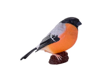 Mojo Hýľ obyčajný