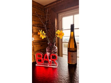 2Kids Toys LED NEON LIGHT lampička BAR