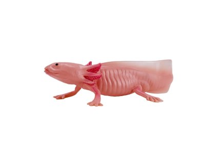 Mojo Axolotl