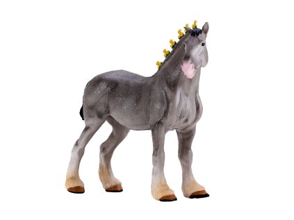 Mojo Shirský kôň sivý grošovaný