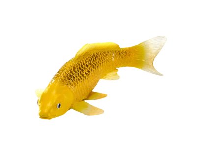 Mojo Kapor koi kin matsuba