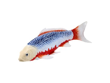 Mojo Kapor koi asagi