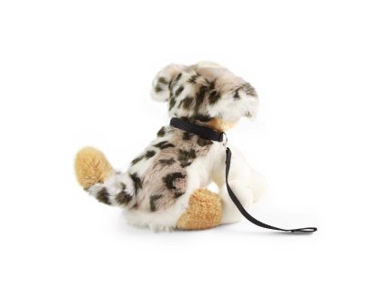 Rappa Plyšový pes austrálsky ovčiak s vodítkom 28 cm ECO-FRIENDLY