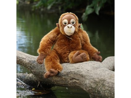 Rappa Plyšová opica orangutan 27 cm ECO-FRIENDLY