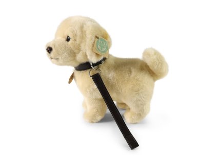 Rappa Plyšový pes zlatý retriever stojaci s vodítkom 25 cm ECO-FRIENDLY