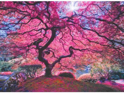 puzzle ruzovy strom 1000 dilku 44996