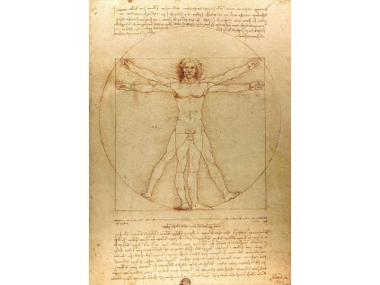ENJOY Puzzle Vitruviánský muž 1000 dílků