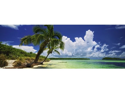 HEYE Panoramatické puzzle Palmový ráj 2000 dílků