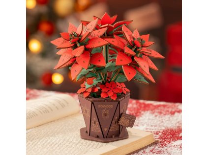 RoboTime 3D drevená skladačka Vianočná hviezda