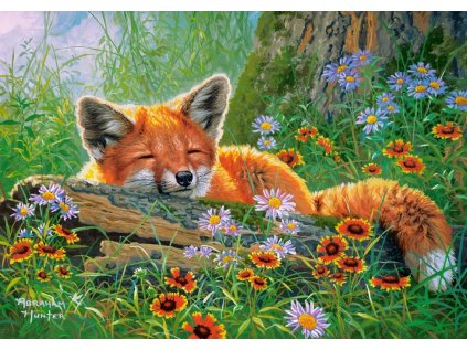 CASTORLAND Puzzle Liščí snění 500 dílků