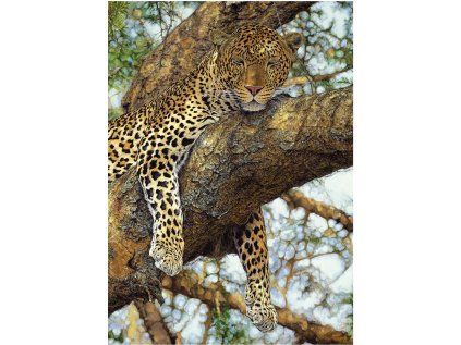 puzzle levhart 1000 dilku 220774