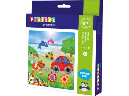 PLAYBOX Zažehlovací korálky Sada Psi, auta, delfíni a květiny 2000ks