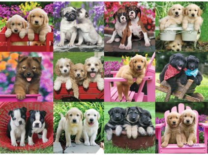 RAVENSBURGER Puzzle Štěňata 500 dílků