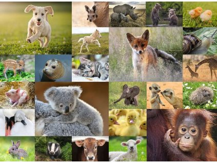 RAVENSBURGER Puzzle Koláž zvířecích mláďat XXL 200 dílků