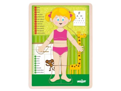 WOODY Oboustranné puzzle Lidské tělo - Dívka