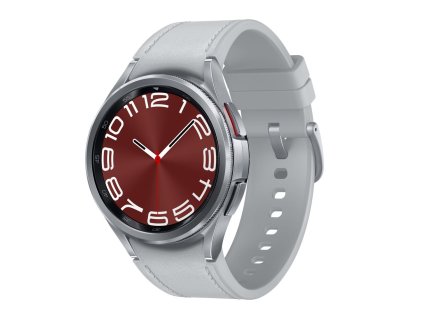 Samsung Galaxy Watch6 Classic 43mm SM-R950 Silver