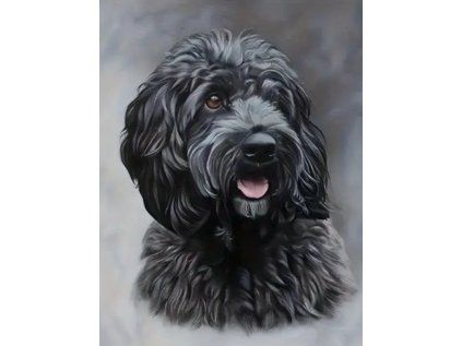 diamantove malovani cerny cockapoo 30x40cm 256737