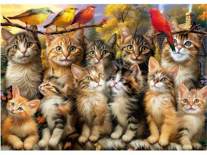 puzzle kocky a ptaci 500 dilku 243372