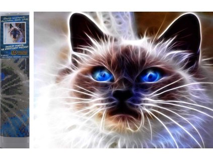 Norimpex Diamantové malování Kočičí magie 30x40cm