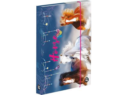 box na sesity a4 kun 216646