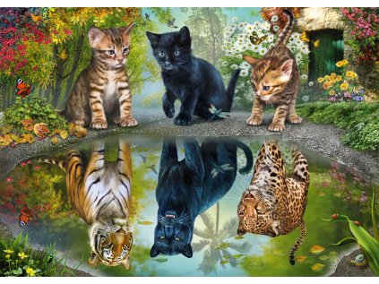 SCHMIDT Puzzle Snít ve velkém 1000 dílků