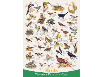 puzzle ptaci 1000 dilku 170859