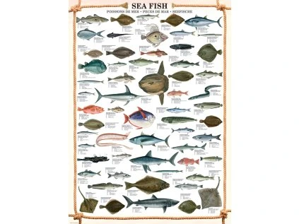 puzzle morske ryby 1000 dilku 170827