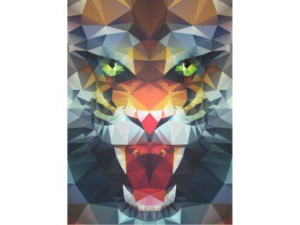 puzzle polygon tygr 500 dilku 156232