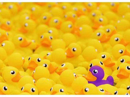 puzzle challenge kacenky 1000 dilku 173526