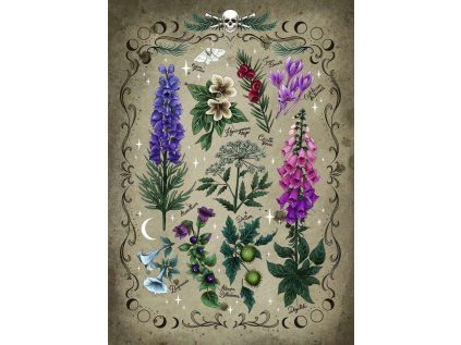 puzzle jedovate rostliny 1000 dilku 228063