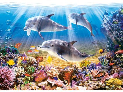 puzzle delfini 500 dilku 42078