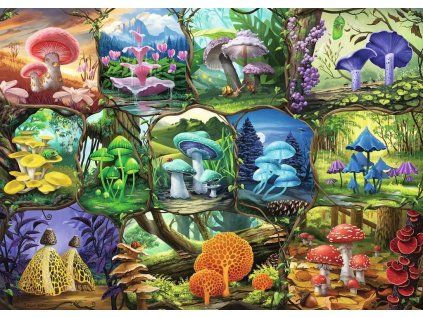 puzzle nadherne houbicky 1000 dilku 173540