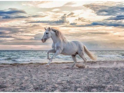 puzzle cval 500 dilku 128294