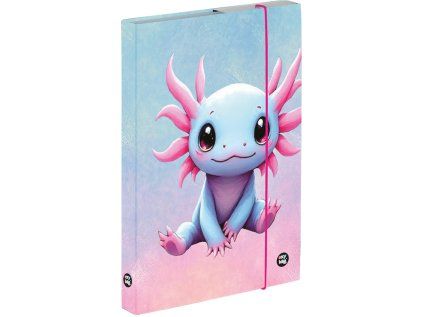box na sesity a4 axolotl 258701