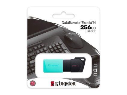 DTXM256GB DTXM256GB 00