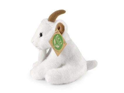 RA260801 2