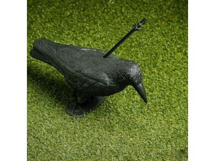 Bradas - Plastic Raven Decoy - Standing Raven - Bird Scarer 1pc