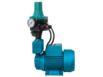 Automatic home water system WZI 750 with BRIO PC-13, water pump
