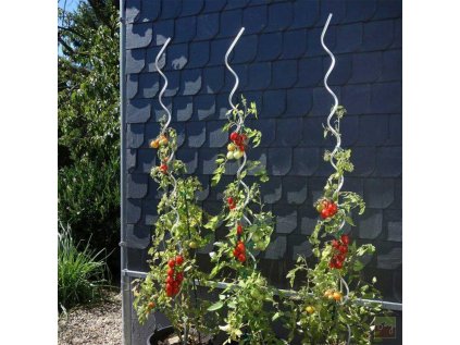 Bradas oporná tyč pre popínavé rastliny 180cm pozinkovaná