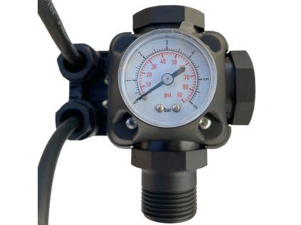 Interruttore di pressione PC-2 con manometro e cavi per pompe e autoclave domestiche