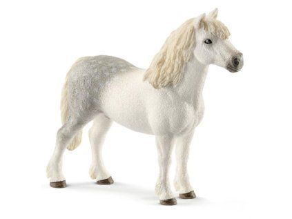 velssky pony hrebec 47927